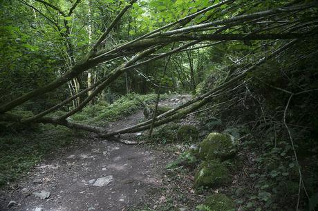 Churrón de Borleña