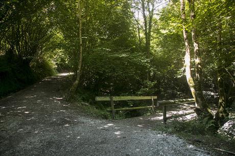 Churrón de Borleña