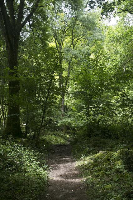 Churrón de Borleña