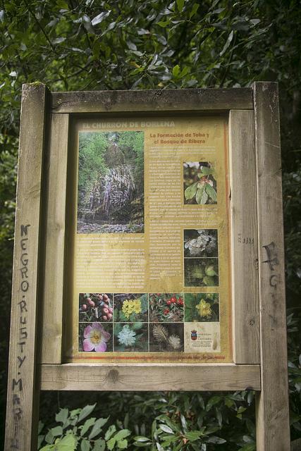 Churrón de Borleña