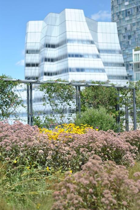 One day in Midtown New York