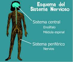 Adicción a conversar en linea: Sindrome del Túnel Carpiano