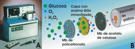 Primer biosensor comercial de glucosa