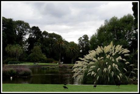 jardin botanico en melbourne