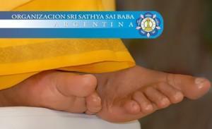 piespagina3 piespagina3