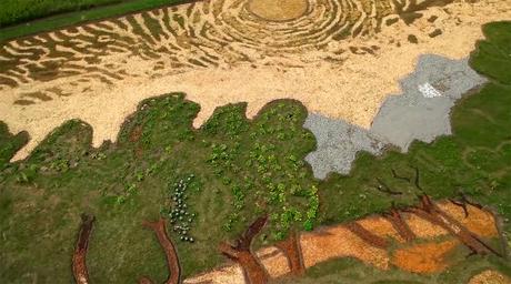Artista Stan Herd planta campo Acres inspirado pintura Gogh 1889 