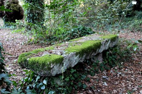 El jardín de La Saleta en Verano y otoño, del 1 al 30 de septiembre de 2015. Saleta's Garden in summer and autumn, September 1-30, 2015.