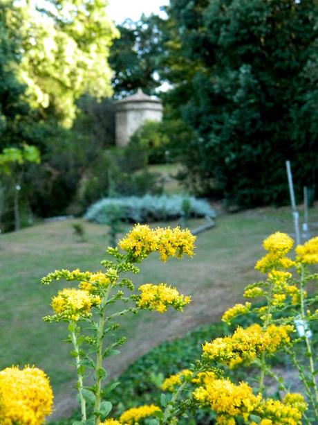 El jardín de La Saleta en Verano y otoño, del 1 al 30 de septiembre de 2015. Saleta's Garden in summer and autumn, September 1-30, 2015.