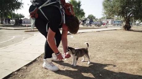 Un refugiado viaja 500 Km con su cachorro.