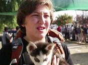 refugiado viaja cachorro.