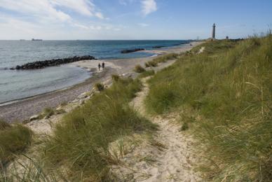 Skagen