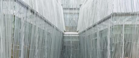 ELE PHASE 20131227144206 0071 cort1