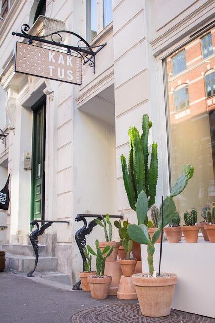 Diseño de tienda de Cactus en Copenhague