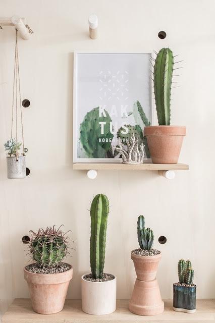 Diseño de tienda de Cactus en Copenhague