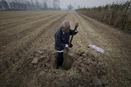 World Press Photo 2015 - Fotografías que me gustaron