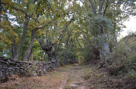 La sierra del Rincón.