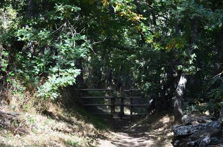 La sierra del Rincón.