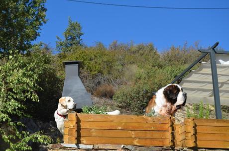 La sierra del Rincón.