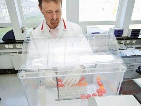 Científicos británicos piden permiso para modificar embriones humanos