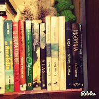 Book Tag La estantería de los números