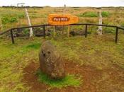 Hiro trompeta Hiro. Rapa