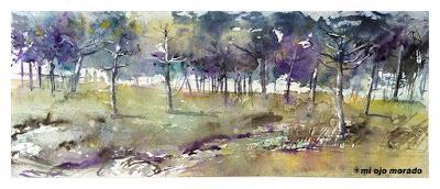 Un paseo por el bosque