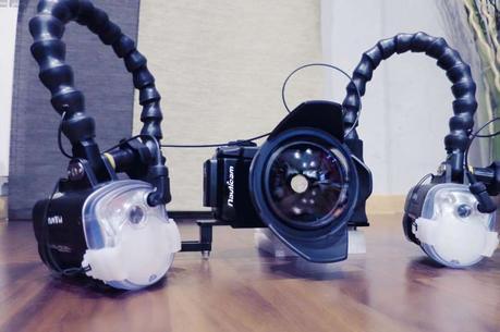 12017652_10156035724275265_2759380472136355148_o