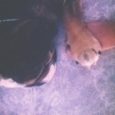 No estaremos No estaremos