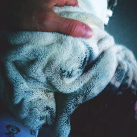 No estaremos No estaremos