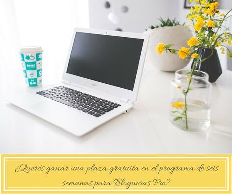 Quiero tener un blog profesional.