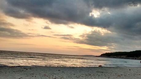 desafió fotográfico, flor, atardecer, geometrías, viejo, pies, amarillo, fachada, robado, sombras