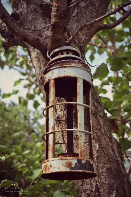 desafió fotográfico, flor, atardecer, geometrías, viejo, pies, amarillo, fachada, robado, sombras