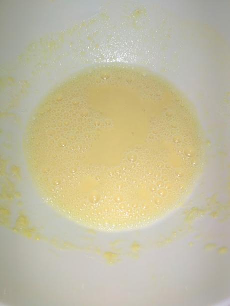 REVUELTO DE AJOS TIERNOS DEL HUERTO BEGONATURA