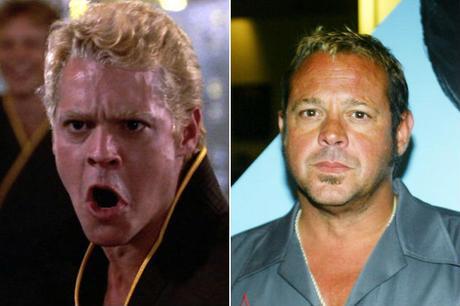 KARATE KID, LAS PELICULAS