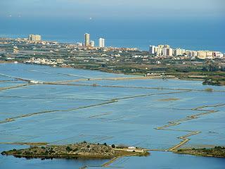 EL SILENCIO DEL PANTANO - J.J. Braulio