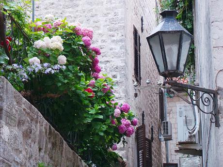 Bahía de Kotor: Bordeando su costa visitando Herceg Novi, Perast y Kotor