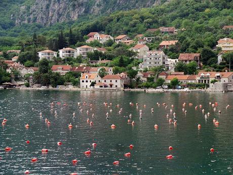 Bahía de Kotor: Bordeando su costa visitando Herceg Novi, Perast y Kotor