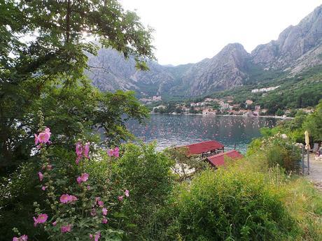 Bahía de Kotor: Bordeando su costa visitando Herceg Novi, Perast y Kotor