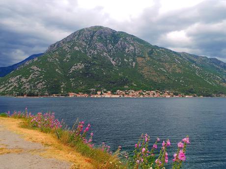 Bahía de Kotor: Bordeando su costa visitando Herceg Novi, Perast y Kotor
