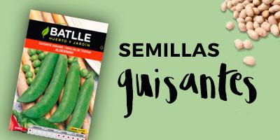 comprar semillas guisantes