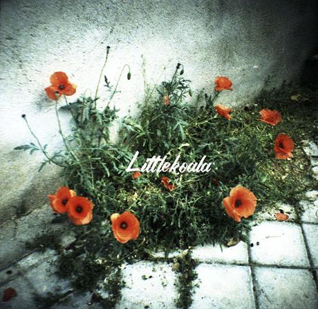 Hoy compartimos: 9 fotos de septiembre