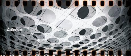 Hoy compartimos: 9 fotos de septiembre