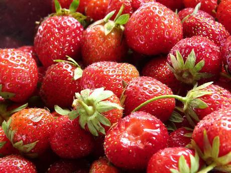 El oídio en las fresas El oídio en las fresas