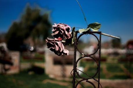 El Patio 29.  Una historia de Chile