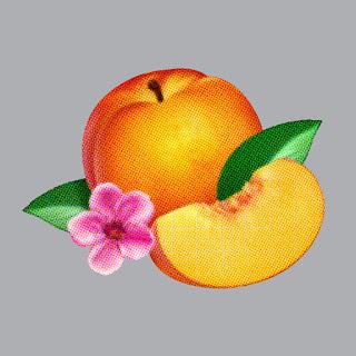 Phoenix - Trying to be cool (2013)