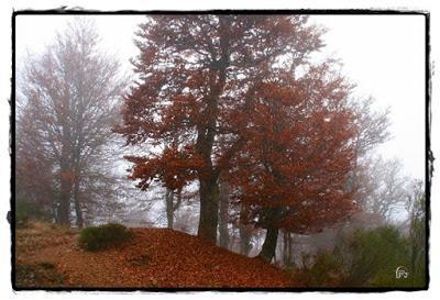 Otoño en la montaña