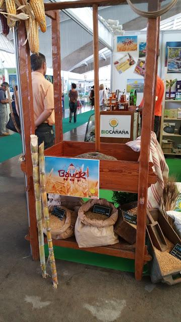 Feria Natura Salud 2015
