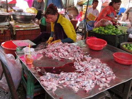 camboya-01-phnom-penh-