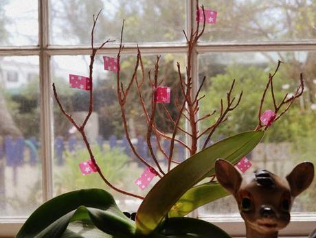 casa, piso nuevo, inmobiliaria, busqueda, casa ideal.