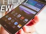 Flex Analisis
